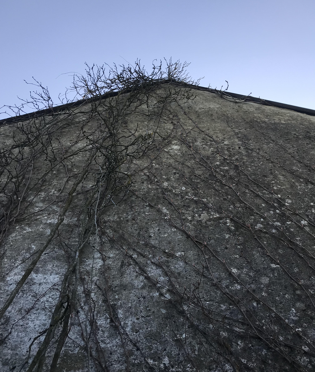 Rekonstrukce stodoly